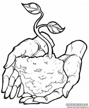 Раскраски На тему экология