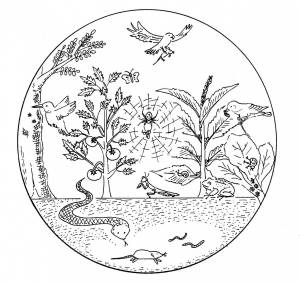 Раскраска экология глазами детей