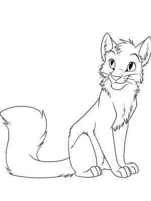 Картинка Коты воители раскраска в формате  для мальчиков