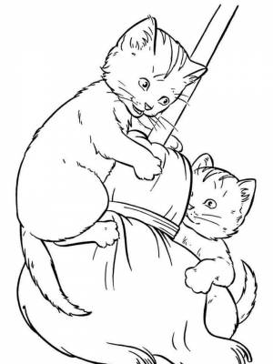 Раскраска кошки и котята  листе  для девочек