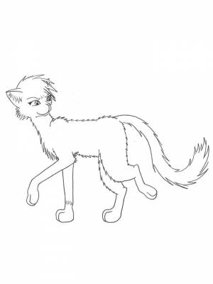 Раскраски Коты воители   в формате