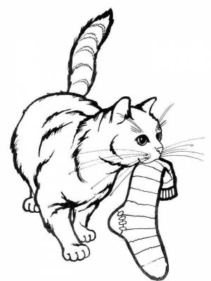 Раскраска кошки и котята  картинку для мальчиков