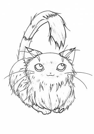 Раскраски аниме котики