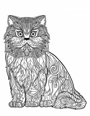 Кошки и Коты