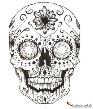 Раскраски антистресс черепа с цветами » Как нарисовать поэтапно