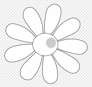 Книжка-раскраска Цветок ромашки обыкновенный, с черными и белыми цветами, белый, симметрия, монохромный png
