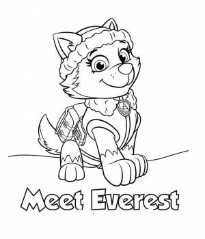 Раскраски Раскраска Мит еверест щенячий патруль