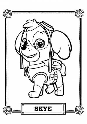 Раскраски Coloring page Paw patrol paw patrol, Download print coloring page