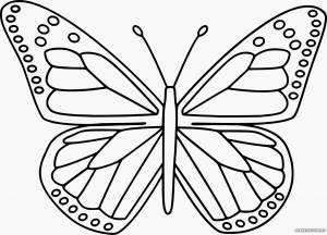 Картинка бабочка раскраска