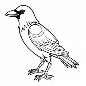 Ворона раскраски вектор животных