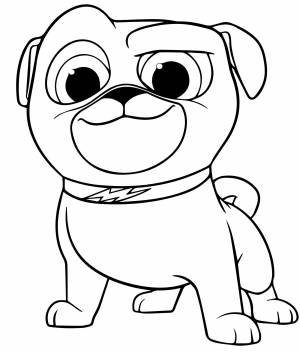 Дружные мопсы