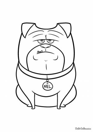 Раскраска мопс Мэл