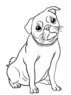 Раскраски Мопс   в формате