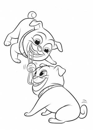 Раскраска дружные мопсы