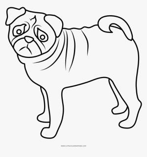 Раскраски щенки мопса