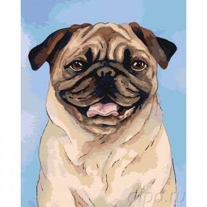 A595-80x100 Мопс Раскраска картина по номерам на холсте недорого