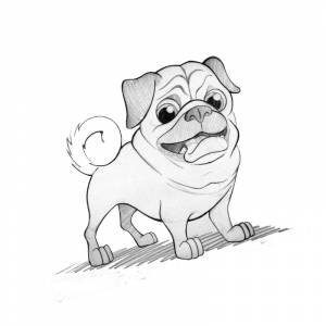 Раскраска собачка мопс