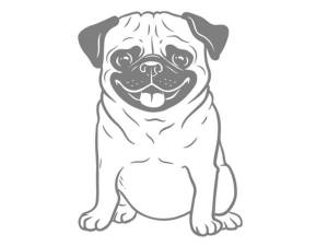 Раскраски собачка мопс