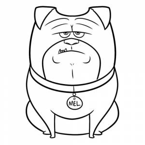 Раскраска мопс Мэл