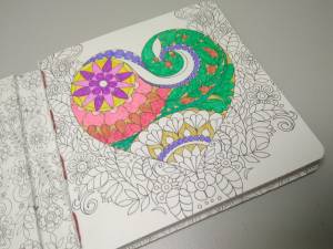 Магазин Дом книги