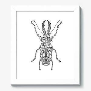 Картина «Бразильский жук