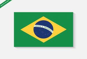 Флаг брази