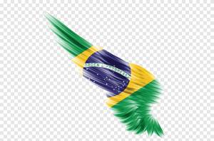 бразильский флаг перо, креатив флаг страницы, бразя png