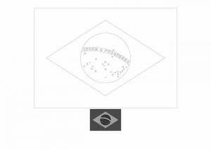 Раскраски Флаг брази