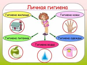 Правила личной гигиены