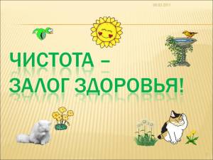 Урок окружающего мира Чистота