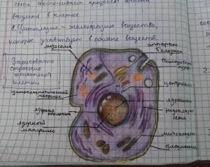 Город клетка рисунок