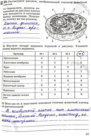 Решено) 13 ГДЗ Колесов Маш 8 класс по биологии с пояснениями