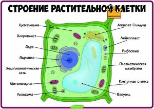 Город клетка рисунок