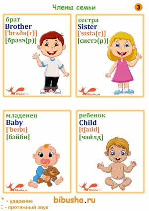 Карточки по английскому языку Семья