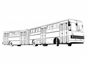 Автобусы