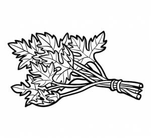 Книжка-раскраска для детей, петрушка