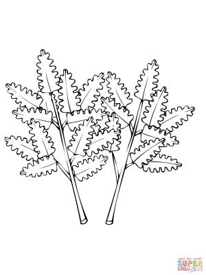 Раскраска Петрушка