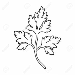 Рисунок петрушки