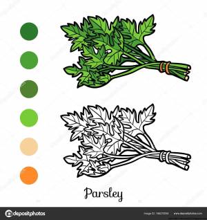 Рисунок петрушки карандашом