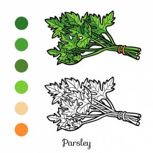 Книжка-раскраска для детей, петрушка