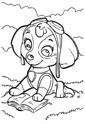 Раскраска Щенячий Патруль Книга