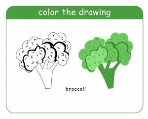 Книжка-раскраска для детей брокколи в цвете и черно-белом