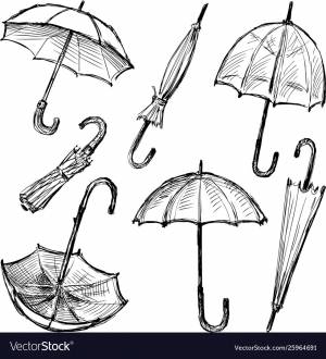 Зонтик в лесу