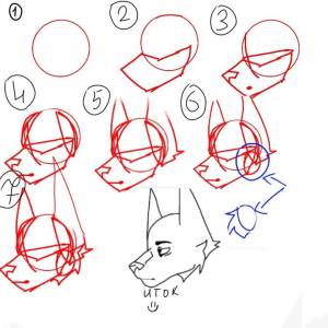 Инструкция как рисовать голову фурри