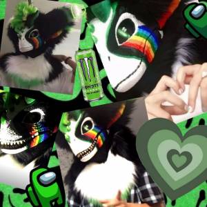 Пин от пользователя Ирина Рогозина на доске рапторы