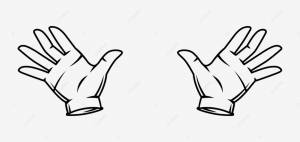 руки фокусника в белых перчатках PNG , перчатки, сюрприз, Игнатьева PNG картинки и пнг рисунок для й загрузки