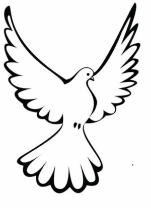 Голубь мира раскраска
