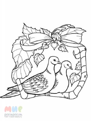 Раскраска Голубь мира