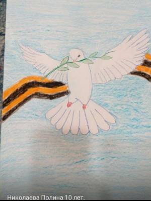 Жителей Кусинского района приглашают поучаствовать в онлайн-конкурсе Голубь мира