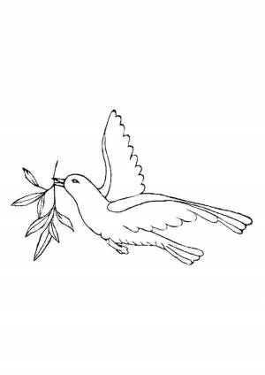 Голубь мира раскраска